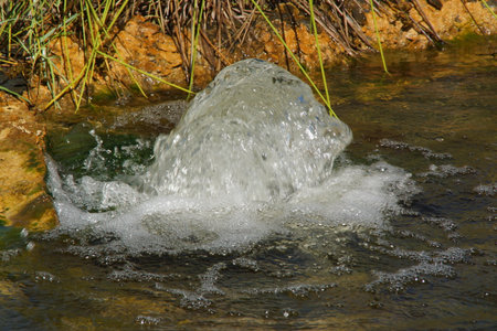 A small water jet gently rises from the center of a garden pond, surrounded by greenery and bathed...