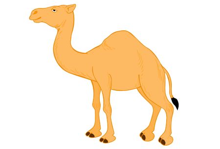 camelのイラスト素材