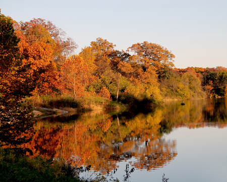 Beautiful reflections on a lake during autumn from the trees and red leaves with a clear blue sky.の写真素材