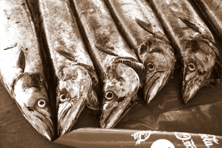 Fish for Sale at the Marketのeditorial素材
