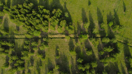 Aerial view of green fields and trees