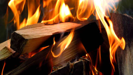 burning firewood on the barbecue in nature.