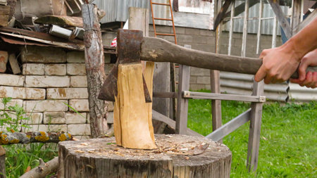 cutting birch firewood with an ax in nature.の写真素材