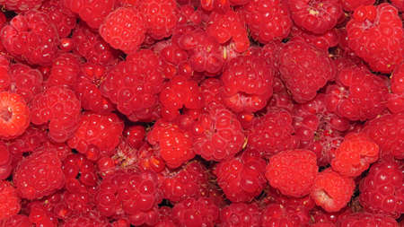 beautiful raspberries. Texture of fresh ripe raspberries.