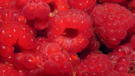 beautiful raspberries. Texture of fresh ripe raspberries.