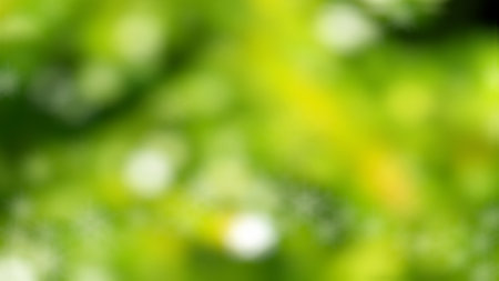 the beautiful christmas blurred background 3d rendering.の写真素材