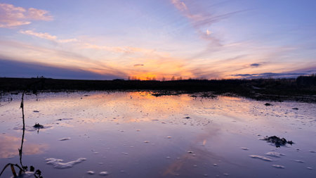 Amazingly beautiful purple sunset on the lake shore.の写真素材