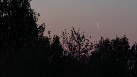 crescent moon on the background of sunsetの写真素材