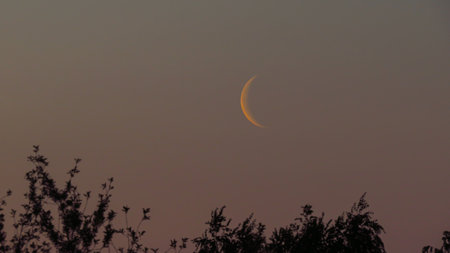 crescent moon on the background of sunsetの写真素材