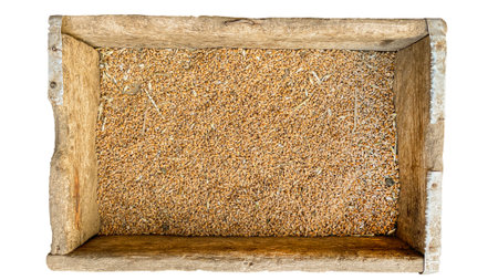 wheat in a box on a white backgroundの写真素材