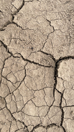 the texture of dry cracked earthの写真素材