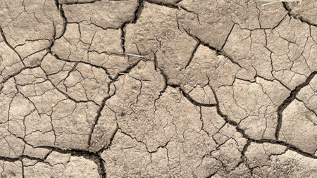 the texture of dry cracked earthの写真素材