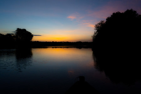 Sunset on the river with silhouette of trees and sky background.の写真素材