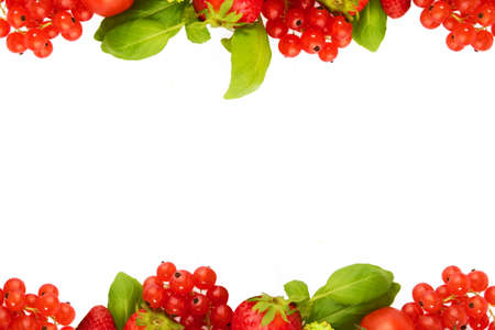 The composition of vegetables and fruits.の写真素材