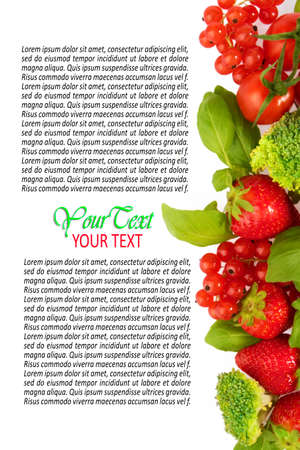 The composition of vegetables and fruits.の写真素材