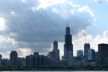 Chicago raysの写真素材