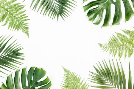 Frame with exotic tropical palm leaves monstera on white background. Flat lay, top view.の写真素材