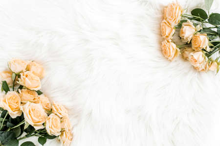 Pastel tea rose bouquet flowers on white background. Floral background. Minimal floral concept. Flat lay, top view.の写真素材