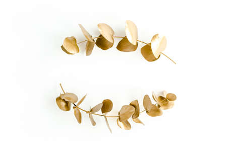 Gold round frame made of gold branches eucalyptus and leaves isolated on white background. lay flat,...
