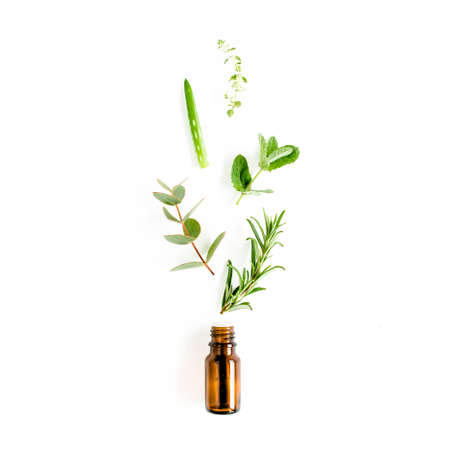 Essential oil and mix of herbs, green branches, leaves eucalyptus, aloe Vera, rosemary, thyme on white background. Flat lay. Top view.の写真素材
