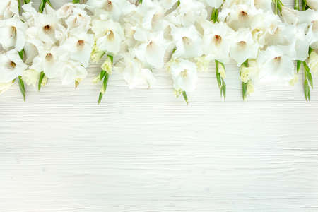 white gladioluses on wooden white background. Pattern of gladioli with space for your text holiday greeting card. Lay Flat, top view. Flowers texture.の写真素材