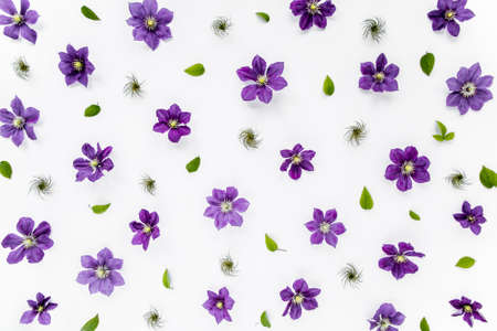 Texture made of purple flowers, green leaves and branches on a white background. The apartment lay,...