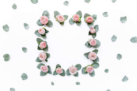 frame made of pink roses, green leaves eucalyptus, branches, floral pattern on white background....
