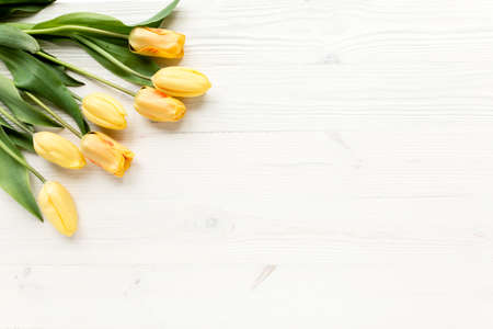 yellow tulips isolated on a white, wooden background. lay flat, top viewの写真素材