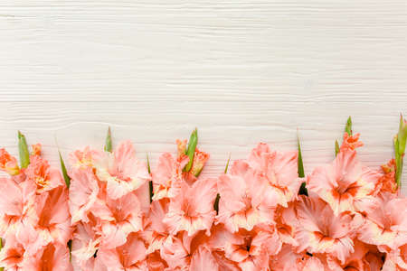 pink gladioluses on wooden white background. Floral pattern of gladioli holiday greeting card. Flat lay, top view. Frame of flowers. Flowers textureの写真素材