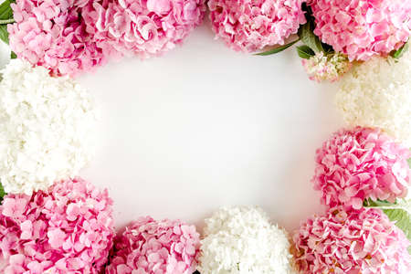 Frame of pink hydrangea flowers with space for text on white background. Floral concept. Flat lay,...