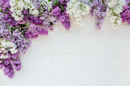 Beautiful purple lilac on wooden white background