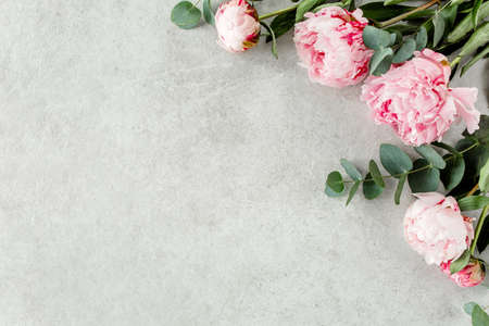Beautiful pink peony flowers on gray stone table with copy space for your text. Flat style, top viewの写真素材