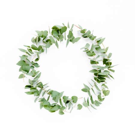 Wreath frame made of branches eucalyptus isolated on white background. lay flat, top view