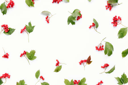 wreath frame with roses, eucalyptus branches, leaves isolated on white background. flat lay, overhead viewの写真素材
