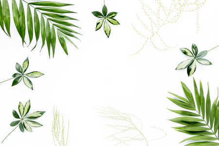green palm leaf branches on white background. flat lay, top view
