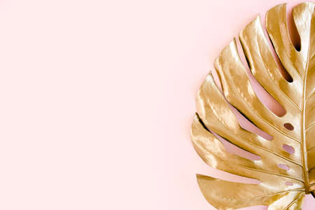 Gold tropical palm leaves Monstera on pink background. Flat lay, top view minimal concept.の写真素材