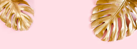 Gold tropical palm leaves Monstera on pink background. Flat lay, top view minimal concept.の写真素材