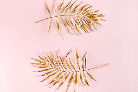 Gold tropical palm leaves on pink background. Flat lay, top view minimal concept.の写真素材