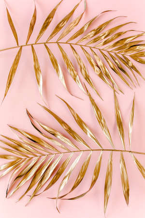 Gold tropical palm leaves on pink background. Flat lay, top view minimal concept.の写真素材