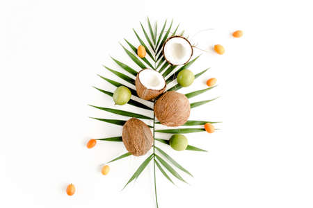 Tropical green palm leaf, lyme and cracked coconut on white background. Nature concept. flat lay, top viewの写真素材