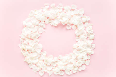 beige petals roses on pink background. Flat lay, top view. Valentines background. Valentines Day concept.の写真素材