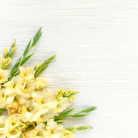 yellow gladioluses on wooden white background. Floral pattern of gladioli holiday greeting card. Flat lay, top view. Frame of flowers. Flowers textureの写真素材