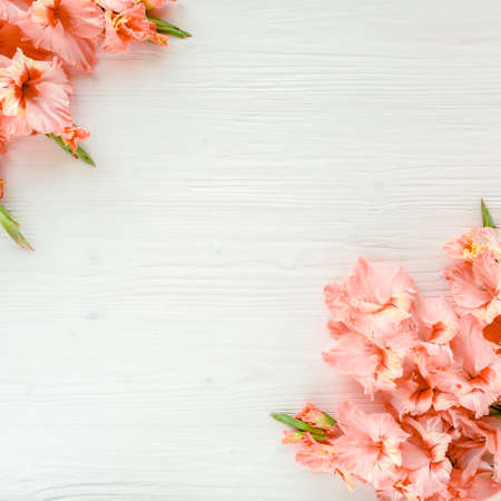 pink gladioluses on wooden white background. Floral pattern of gladioli holiday greeting card. Flat lay, top view. Frame of flowers. Flowers textureの写真素材