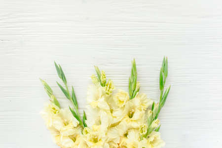 yellow gladioluses on wooden white background. Floral pattern of gladioli holiday greeting card. Flat lay, top view. Frame of flowers. Flowers textureの写真素材