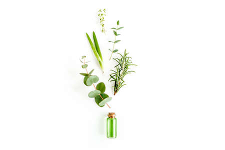 Essential oil and mix of herbs, green branches, leaves eucalyptus, aloe Vera, rosemary, thyme on...