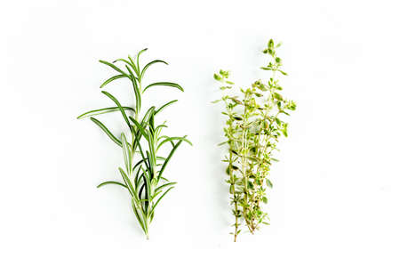 Green branch of rosemary and thyme, eucalyptus leaves isolated on a white background. Flat lay. Top...