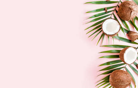 Pattern, frame borders with coconuts and tropical palm leaves on pink background. Tropical abstract background. Flat lay, top view.の写真素材