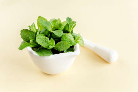 Green branch and leaves of rosemary isolated on a white background. Herbs. Flat lay. Top view