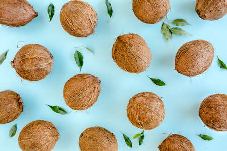 Pattern with coconuts and green leaves on blue background. Tropical abstract background. Flat lay, top view.の写真素材