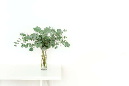 A bunch of twigs green eucalyptus in a glass jar on the table.